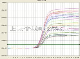 实时荧光定量PCR(RealTime PCR)技术服务
