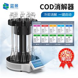 LJ-W110XCOD回流消解器