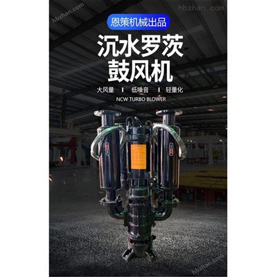 NCW-5037沉水式羅茨風機