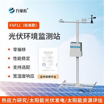 WX-FGF11光伏环境监测仪器