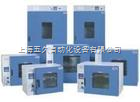 鼓風(fēng)干燥箱|DHG-9620A