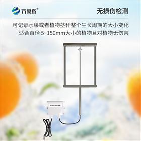 果实生长传感器