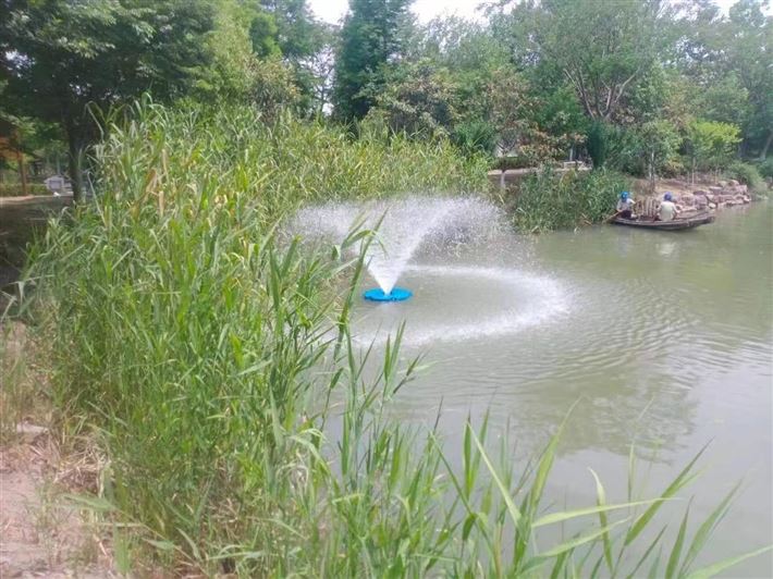 提水式噴泉曝氣機(jī),喇叭花噴泉曝氣機(jī)