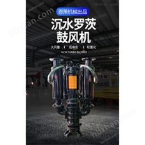 上海恩策品牌NCW-8075沉水式羅茨鼓風(fēng)機(jī)