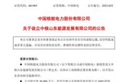 中國(guó)核電擬5億元設(shè)立全資子公司，開發(fā)山東省內(nèi)能源項(xiàng)目 