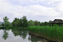 臨邑縣打造美麗鄉(xiāng)村 扎實(shí)推進(jìn)農(nóng)村生活污水治理