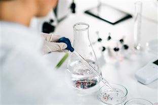 上合組織綠色產業合作平臺建設取得積極進展