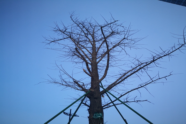 溫州市推動噪聲防治 共建“寧靜家園”