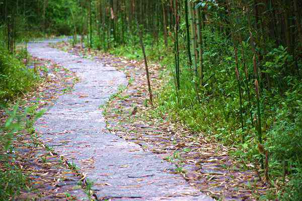 再進(jìn)一步！生態(tài)環(huán)境法典草案三審稿亮相