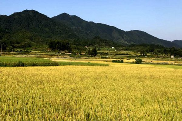 實施《土壤污染源頭防控行動計劃》取得積極進展