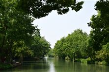 《威海市濕地保護(hù)辦法》2026年2月1日起施行！