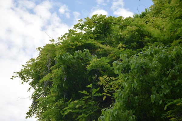 《青海省深入推進(jìn)重點(diǎn)流域生態(tài)保護(hù)補(bǔ)償機(jī)制建設(shè)實(shí)施方案》出臺(tái)