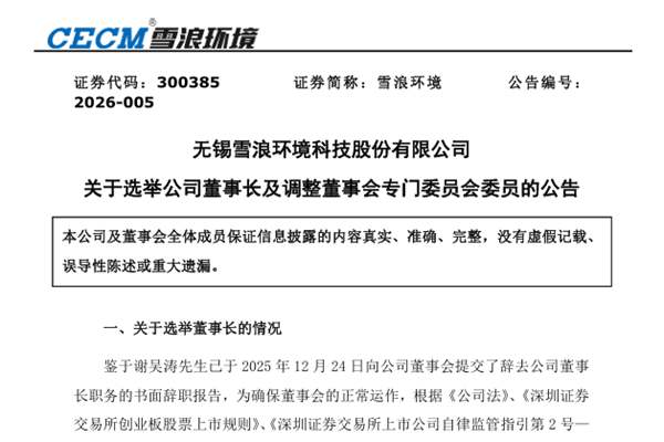 蔡道遠(yuǎn)任雪浪環(huán)境董事長