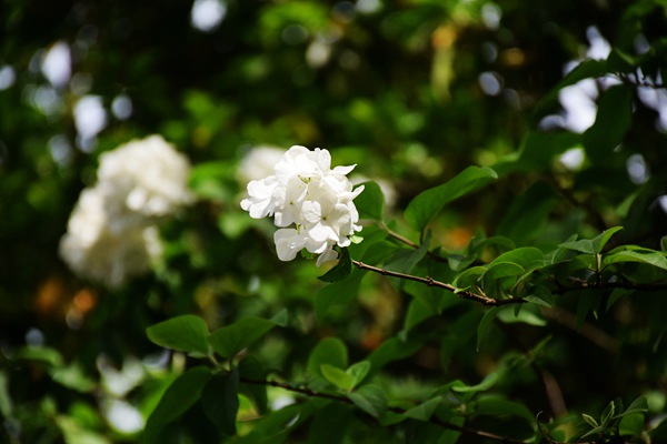 成都開年第一波污染為啥這么“兇”？深扒背后的三大成因