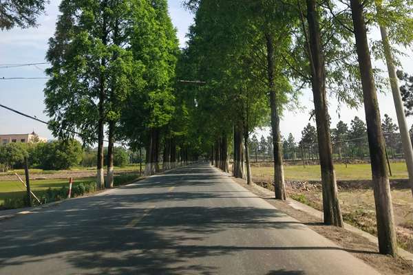 關(guān)于深入學(xué)習(xí)貫徹《中華人民共和國生態(tài)環(huán)境法典》的通知