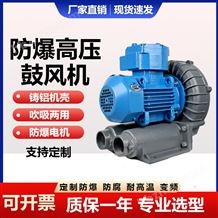 2RS 510 H06高壓風(fēng)機變頻旋渦風(fēng)機化學(xué)粉塵腐蝕性氣體