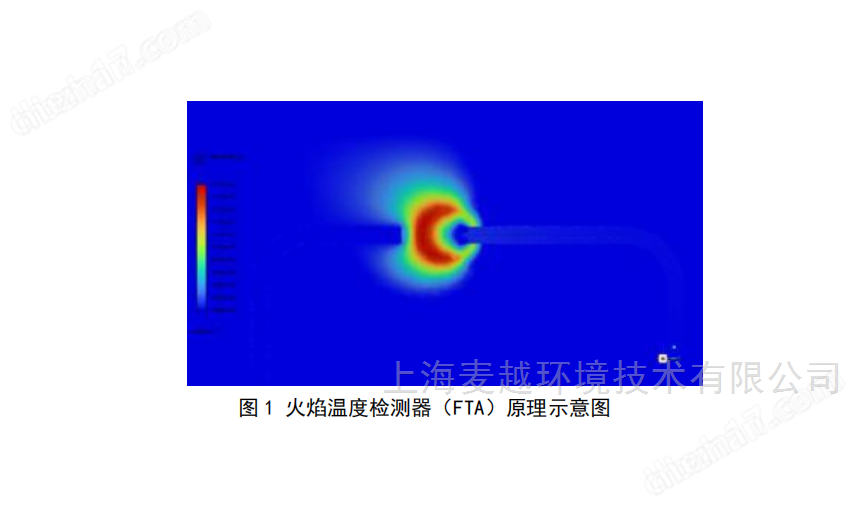 RTO可燃?xì)怏wLEL濃度分析儀 FTA技術(shù)