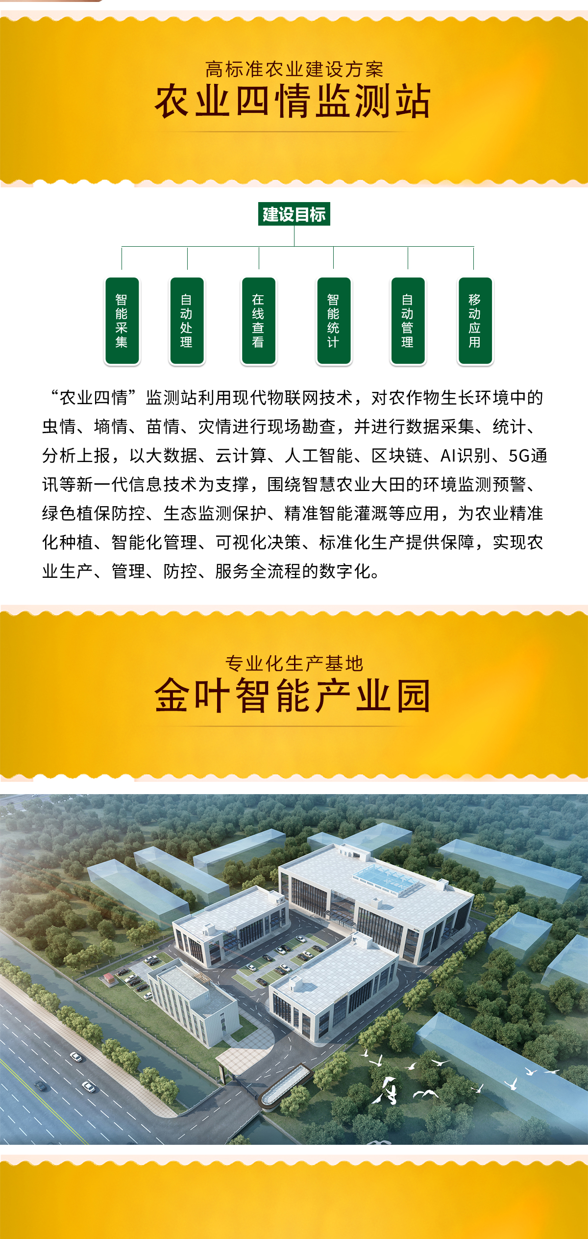 看不見(jiàn)的植物 “健康衛(wèi)士