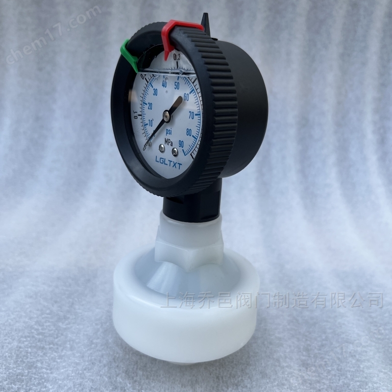 786-V全塑隔膜压力表 786-P隔膜压力表