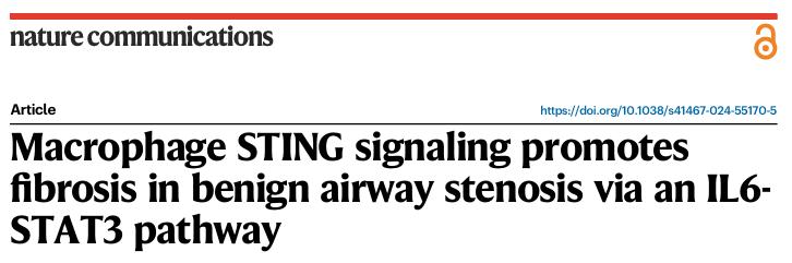 6389656447374189952429746