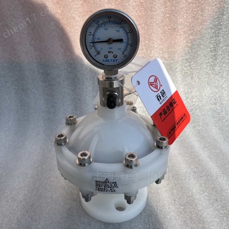 LGMZ-V0.35L膜片式脉冲阻尼器PVDF LGMZ-V0.35L膜片式脉冲阻尼器PVDF