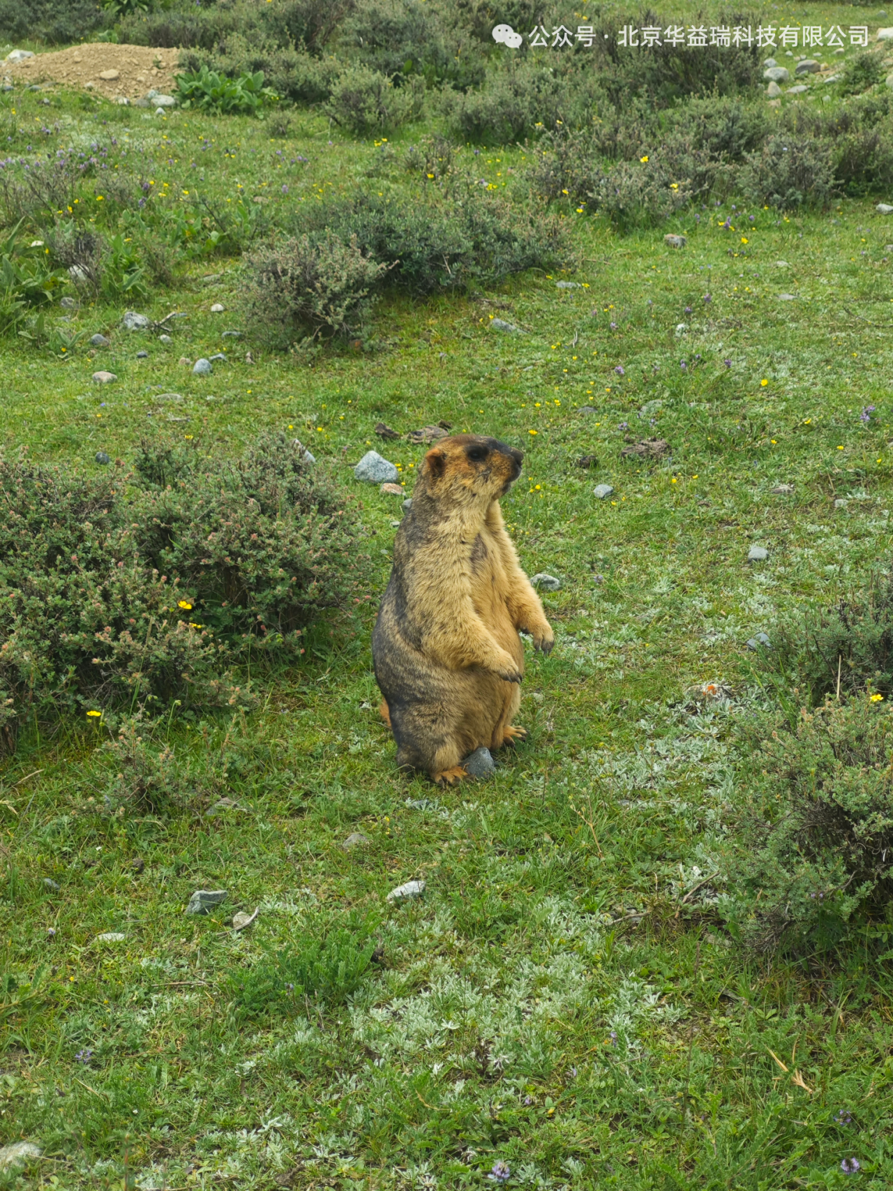 2026年元旦 | 华益瑞与科研人员并肩开拓新征程！