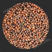 森洋芬頓工藝用芬頓催化劑