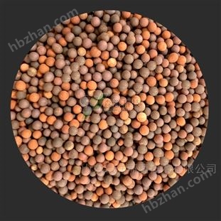 類芬頓催化劑 提高芬頓效率0